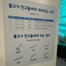 국립해양박물관 | 부산 가볼만한 곳_영도 국립해양박물관 전시 관람 후기