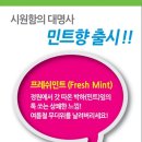 양키캔들부산 이미지