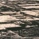 대성목재 이미지