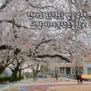 가사문학초등학교 이미지