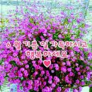 1%의 행복 이미지