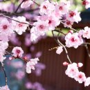 차오름공인중개사사무소 이미지