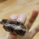 아이스크림친구 - 관악구 중앙길 41 | 아이스크림친구