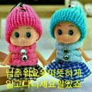 (유)뜨는해 이미지