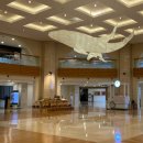 소노캄제주WEST동 이미지