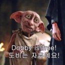 다로리인