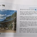 은파랑여행사