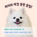 구름멍스테이 이미지