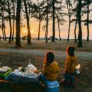 구시포노을캠핑장 이미지