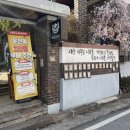충북 청주 가볼만한 곳, 실내 고양이 카페 애니멀 공화국 추천(사진많음)