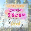 용대관광지 | 강원도 인제 꽃축제 첫 날 다녀온 후기(현지인 시점)