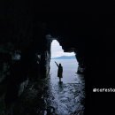 공룡 발자국화석지 이미지