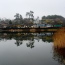 명덕지 이미지