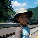 섬진강 레일바이크 이미지