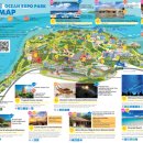 오키족발 | 추라우미 수족관 오키나와 후기