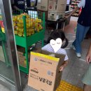 하나로마트 | 강원도 영월 법흥계곡 하얀여울캠핑장 5살 아이랑 1박2일 25.6.21~22 ,영월한반도농협하나로마트 후기