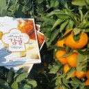 제주특별자치도농업기술원(서귀포농업기술센터) 이미지