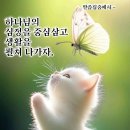 남영경로당 Daum카페