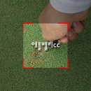 애플밸리 컨트리클럽 이미지