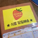 딸기씨네 수제청 설날맞이 특별구성 BOX