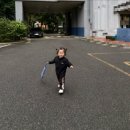 [10월 3주차 육아일기] : 엉뚱발랄한 솜솜이의 일상