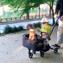 춘옥이네 | 27개월 아기 트라이크 추천 - 에이블 트라이크 에어+카독 자세한 사용 후기(식판, 캐노피)