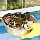 조개일번지 이미지