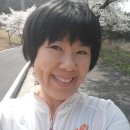 법인혜림
