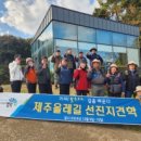 소금밭 교차로 3 이미지