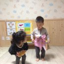 캥거루 동물병원 이미지