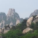 비금동초등학교 이미지