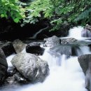 대운상대길 이미지