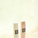 에스텔라 이미지