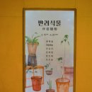 [신세계백화점 광주점 갤러리] 기획 전시 &#39;반려 식물&#39; 관람 후기