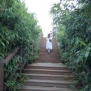 죽변등대공원 이미지