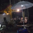 솔향기길야영장 이미지