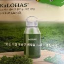 로하스녹즙 | 💚 칼로하스 그린케일 내돈내산 솔직 구매 후기 (사은품까지 대박!)