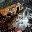 정치망민박 이미지