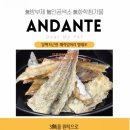안단테펫