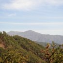 숲길농원 이미지