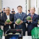 주산지애플 이미지