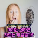 현직 미용실 직원이 알려주는 꿀팁 9가지/머리는 상하면 자르는게 답일까? 이미지