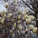 (주)마중 이미지