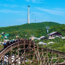 (주)월드항공여행사 이미지