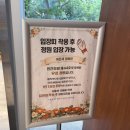 아르세 | 통영 아기랑 카페 🌹 아르세 내돈내산 후기｜꽃정원+오션뷰 대형카페