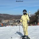 알펜시아렌탈샵 의류부터 리프트권 할인까지 비버네 재방문 후기!