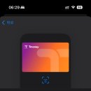 티머니페이_지하철 | [사용법] 🍎드디어! 애플페이로 지하철 탄다 - 티머니 연동 후기