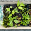 서수원농자재마트 이미지