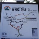 공룡주먹밥 이미지