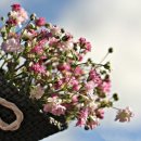 두류공원 스케이트장 이미지